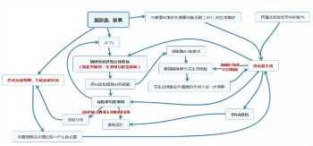 依达拉奉右莰醇中国上市，“脑卒中卫士”迎来新成员