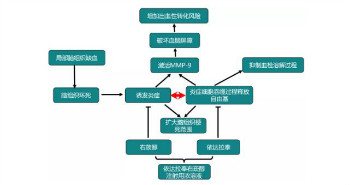 依达拉奉右莰醇中国上市，“脑卒中卫士”迎来新成员