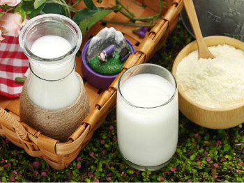 奶粉过敏究竟是对什么过敏呢？