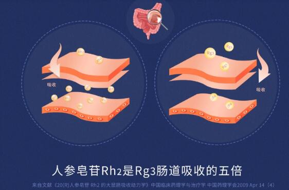 人参皂苷rg3对鼻咽癌出现转移有什么作用？