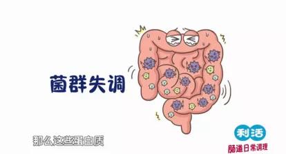 口气重、肠道菌群失衡？嚼利活乳酸菌素片呵护肠道健康