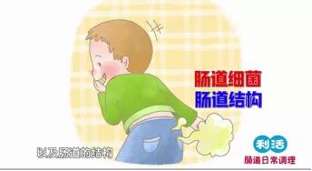 调理肠道吃利活乳酸菌素片让身体更轻松！