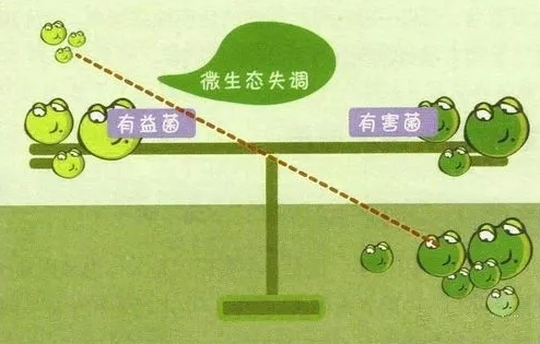 吃什么可以治便秘又快效果好？专家推荐它