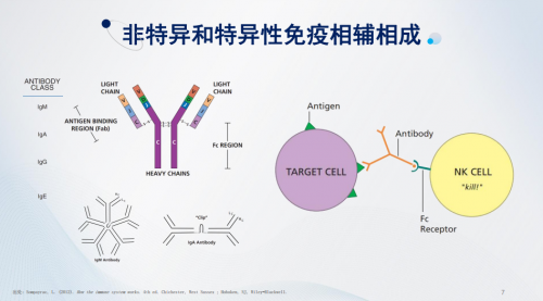 R-1乳酸菌专题:打工人,你为免疫力充值了吗?